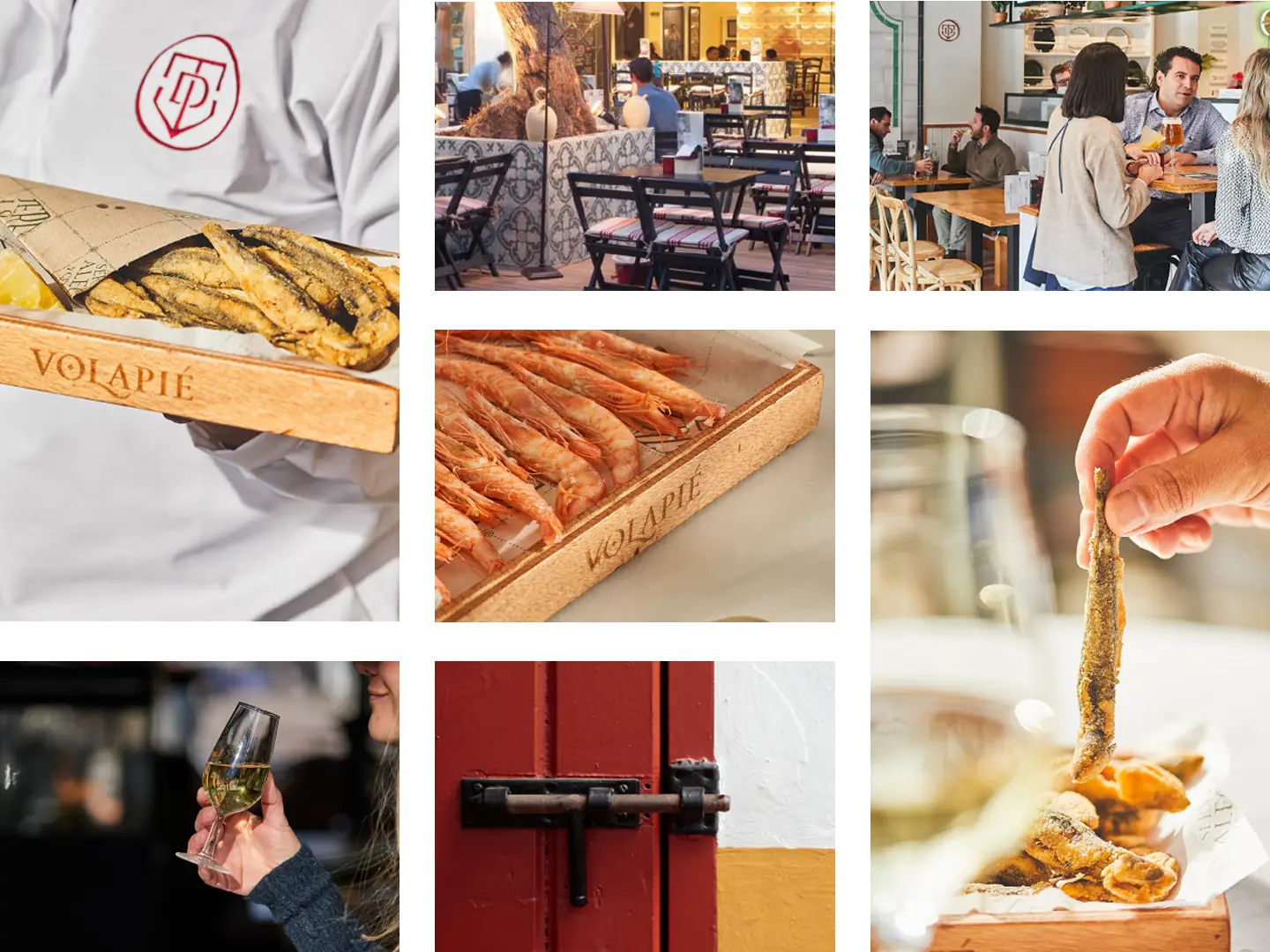 Franquicia rentable - Taberna del Volapié