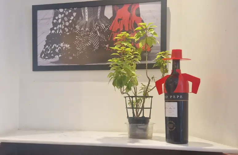 Volapié San Juan de Dios (Cádiz)