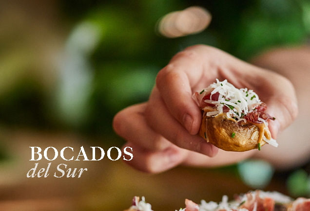 BOCADOS del Sur