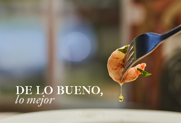 DE LO BUENO, lo mejor
