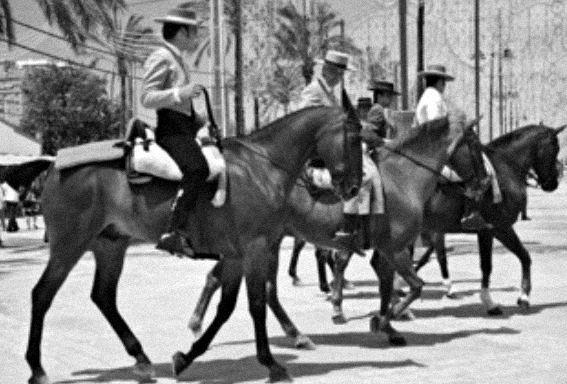 Origen de Taberna del Volapié
